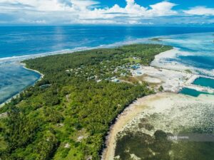 ކުނަހަންދޫ ބޮޑޮހުރާ ބެލެހެއްޓުމަށް ޝައުގުވެރިވާ ފަރާތެއް ހޯދަނީ