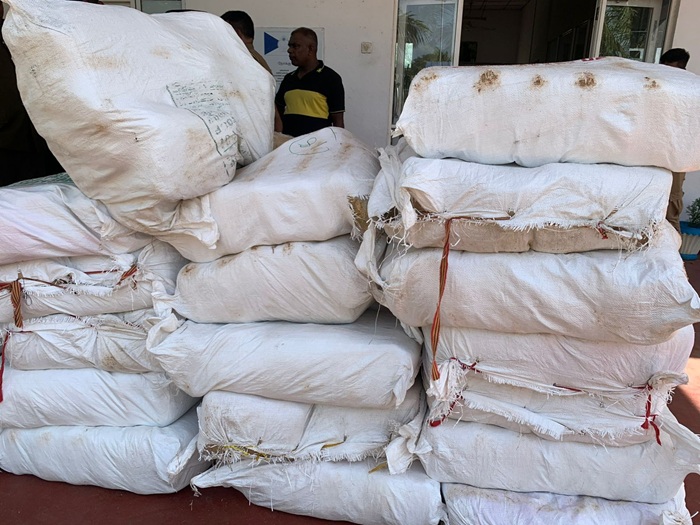 ސްރީލަންކާގެ ކަނޑުމަތިން 906 ކިލޯގެ ކެނެބިސް އަތުލައިގެންފި