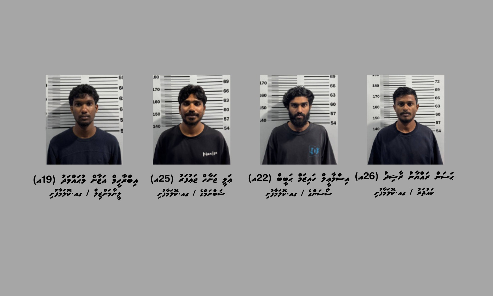 ކޮލަމާފުއްޓަށް މަސްތުވާތަކެތި އެތެރެކުރަން އުޅުނު ހަތަރު މީހަކު ހައްޔަރު ކޮށްފި