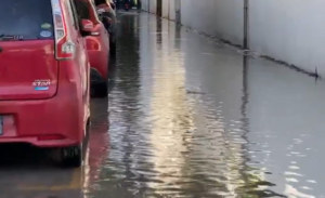 މަގުގައި ފެންބޮޑުވީ ޓޭންކަށް ފެން ނަގައިދޭ މައި ހޮޅި ހަލާކުވެގެން: އެމްޑަބްލިއުއެސްސީ