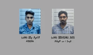 ކުޅުދުއްފުށީގައި މަސްތުވާތަކެތީގެ މައްސަލައިގައި ދެމީހުން ހައްޔަރު ކޮށްފި