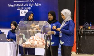 ގިރާވަރުފަޅުން ދޫކުރާ ގޯތިތަކުގެ ވެރިފަރާތްތައް ކަނޑައަޅައި، 14 ގަޑިއިރުގެ ގުރުއަތުލުން ނިންމާލައިފި