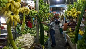 ތަރުކާރީއާއި މޭވާ ވިއްކާ ވިޔަފާރިތައް ރަޖިސްޓްރީކުރުމަށް ހުޅުވާލައިފި