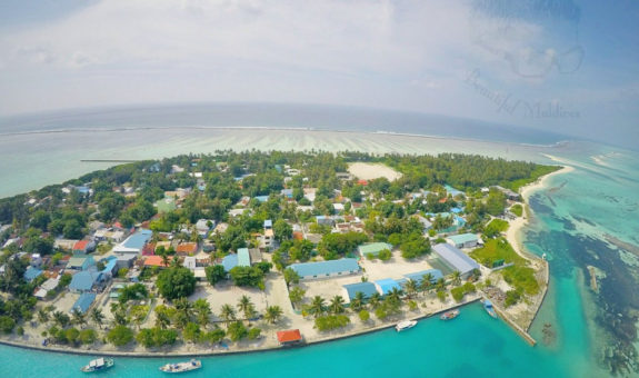 ގެއްލިގެން ހޯދަމުން ދިޔަ ކުއްޖެއް މޫދުގައި މަރުވެފައި އޮއްވާ ފެނިއްޖެ