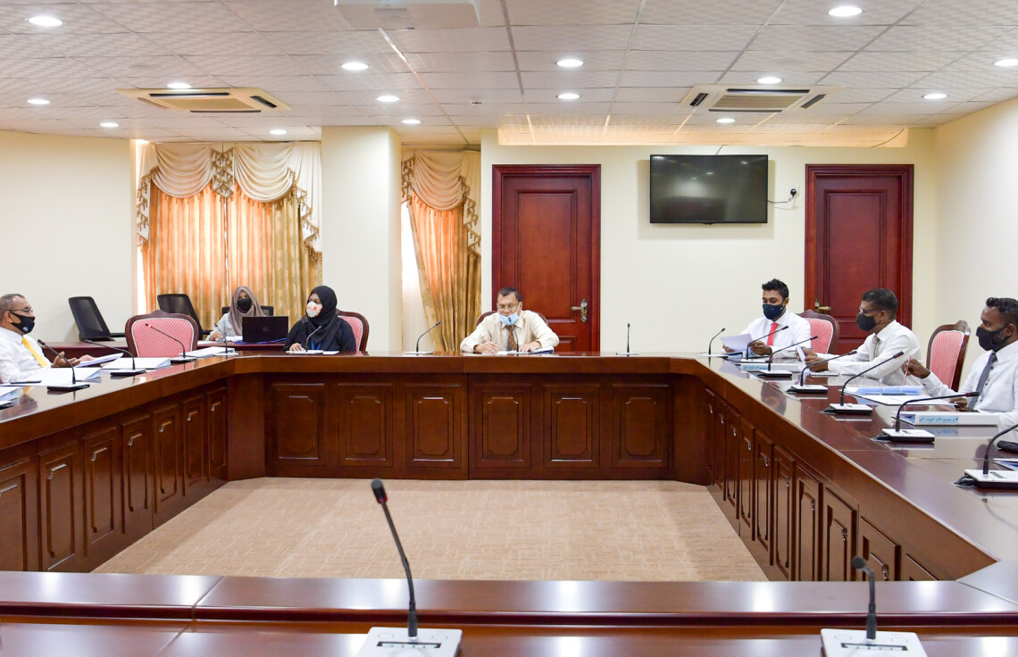 ދިވެހިންނާ ކައިވެނިކުރާ ބިދޭސީންނާއި، 250،000 ޑޮލަރުގެ އިންވެސްޓްކުރާ ބިދޭސީންނަށް ދިގު މުއްދަތަކަށް ވީޒާ ދޭން ކޮމިޓީން ފާސްކޮށްފި