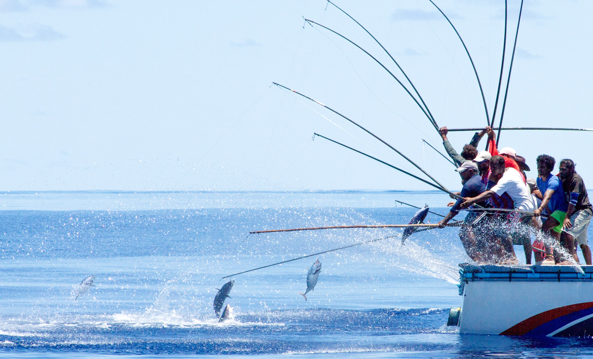 މަސްވެރިކަމަށް އައު ޑިޒައިނެއްގެ ދޯނި ބަނދެ މަސްވެރިންނަށް ލިބޭނެގޮތް ހަދަނީ