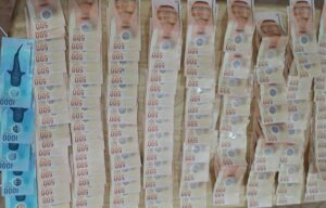 ވަގަށް ނަގާފައިވާ ބައިލައްކަ އަށްވުރެ ރުފިޔާ ހޯދައި، މީހަކު ހައްޔަރުކޮށްފި