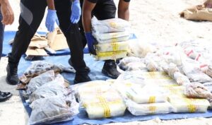 203 ކިލޯއަށްވުރެ ގިނަ މަސްތުވާތަކެތި ނައްތާލައިފި