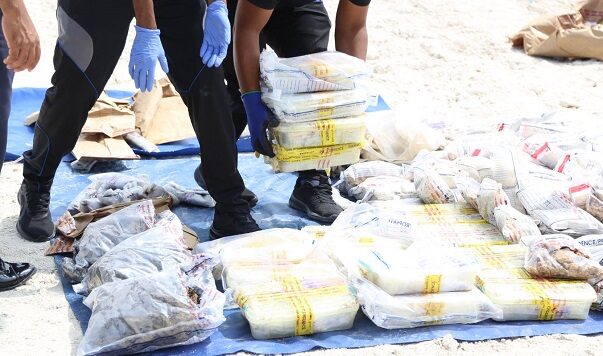 203 ކިލޯއަށްވުރެ ގިނަ މަސްތުވާތަކެތި ނައްތާލައިފި