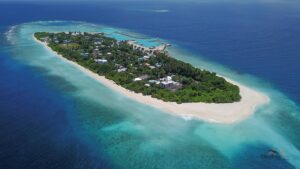 14 އަހަރުގެ އަންހެންކުއްޖަކު ރޭޕްކޮށްގެން ޅިޔަނު ހައްޔަރުކޮށްފި