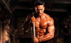 ޓައިގާ ފިލްމް ކުޅޭ އަގު ކުޑަކޮށްފި