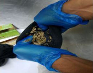 ރާއްޖެއައި އިންޑިއާ މީހެއްގެ އަތުން މަސްތުވާތަކެތި އަތުލައިގެންފި