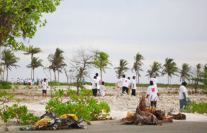 އެޗްޑީސީން ހުޅުމާލެ ސާފު ކުރުމުގެ ޚާއްސަ ހަަރަކާތެއް ހޮނިހިރު ދުވަހު