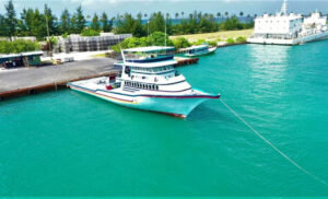 މިއަދުން ފެށިގެން، ގަންނަ މަހަށް ވަގުތުން ފައިސާ ލިބޭނެ: ހޮރައިޒަން