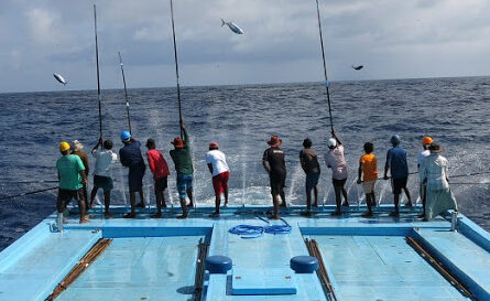 މަސްވެރިޔަަކަށް މިޔަރެއް ހަމަލާދީގެން އެމްއެންޑީއެފް އެހީތެރިވަނީ