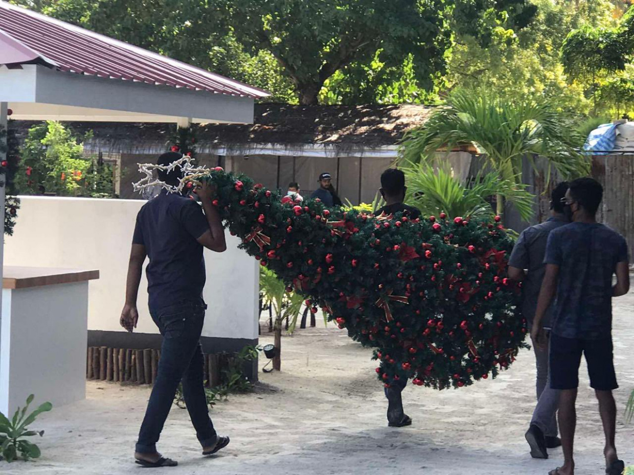 މާފުށީގައި ބެހެއްޓި ކްރިސްޓްމަސް ގަހެއް ފުލުހުން ނަގައިފި