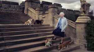 އިގިރޭސި ރާނީ، ލޯބިން ގެންގުޅުން ކުއްތާ މަރުވެ ދިއުމުގެ ފުން ހިތާމާގައި