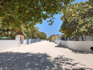 ދެއްވަދޫ ކްލަސްޓަރ: މިހާތަނަށް 69 މީހަކު ޕޮޒިޓިވްވެއްޖެ