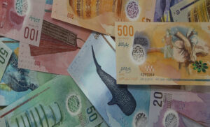 މިވަގުތު ވަގުނޫޓެއް ދައުރުނުވޭ: އެމްއެމްއޭ