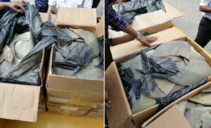 އަތުލައިގަތް މިޔަރު އުރަހަ ބޭރުކުރަން އުޅުނީ ލޮނުމަހުގެ ނަމުގައި: ކަސްޓަމްސް