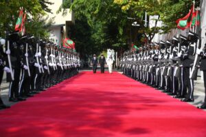 ރިޔާސީ ބަޔާނަށް އަވަސް ކަޅިއެއް