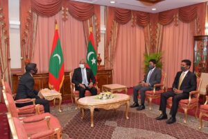 ބްރޯޑްކާސްޓިންގ ކޮމިޝަންގެ މެންބަރުކަމަށް ފަޒީން އައްޔަން ކުރުން