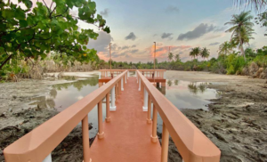 ބީއެމްއެލްގެ އެހީގައި ނަޑެއްލާ ގޮނާނިގިލި ކުޅީގައި އީކޯ ޕާކެއް