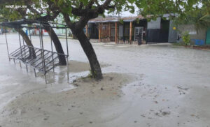 ހިންނަވަރަށް އުދަ އަރާ ގެއްލުންތަކެއް