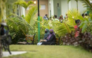 މައިޒާންތަކާއި ޕާކުތައް މިއަދު ހުޅުވާލަނީ، ލޮނުޒިޔާރަތް ޕާކާއި، ސަލްޓަމް ޕާކު ހުޅުވާލަނީ މާދަމާ