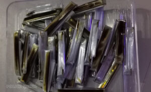 އެއްރަށުން އަނެއް ރަށަށް މަސްތުވާތަކެތި ގެންދިއުމުގެ މައްސަލަތަކެއްގައި 3 މީހުން ހައްޔަރުކޮށްފި