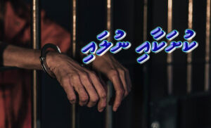 ކުރު ވާހަކަ: ކުށަކާއި ނުލައި