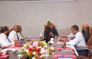 ހަނދު ސާބިތުކުރުން މިރޭ
