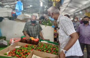މާރުކޭޓް ގޮޅިތަކާއި، މާލޭގެ ބިންތަކުގެ ކުލި ކުޑަކޮށްފި