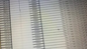 އެމްއެމްޕީއާރުސީގެ މައްސަލަ ބޮޑު ދެޕާޓީގެ ސިޔާސީ ތަޅާލުމަކަށް!