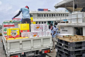 މާލެއިން ރަށްރަށަށް ދިއުން ހަރުކަށި ކޮށްފި