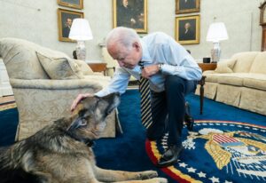 ބައިޑްންގެ އެންމެ އަރިސް ކުއްތާ މަރުވެއްޖެ