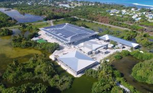 އައްޑޫ ސިޓީ ހިދަތޫ 40 އަށްވުރެ ގިނަ ބަންޑާރަގޯތި ނެގުމަށް ކައުންސިލް ނިންމައިފި