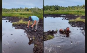 ފުވައްމުލައް ސިޓީގައި ނަގާފައިވާ ޓިކްޓޮކަކަށް 22 މިލިއަން ވިއުސް!