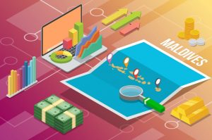 ގައުމަށް ބޭނުމީ ދުޅަހެޔޮ އިގްތިސާދެއް! ބަދަލު ކުރަން ޖެހިފައި އޮތީ ބޯދާ އިގްތިސާދީ ވިސްނުން!