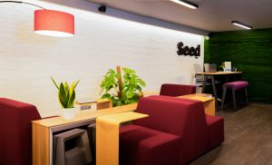 ބީސީސީން ކުދި ވިޔަފާރިތަކަށް މަސައްކަތުގެ މާޙައުލެއް ޤާއިމް ކޮށްދީފި