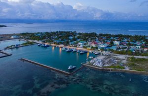 ދާންދޫގައި ހަށި ވިއްކާ ކަމުގެ މައްސަލާގައި 7 މީހަކު ހައްޔަރުކޮށްފި