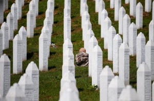 ބޮސްނިއާގެ ސްރެބްރެނިކާގެ ގަތުލުއާންމަކީ ނުހިގާކަމެއް ކަމަށް ބުނާ ވާހަކަތައް ޓުވިޓަރ އަދި ގޫގުލްއިން ބޮލޮކް ކުރަނީ