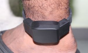 ކުށްވެރިން ފައިގާ އަޅުވާ ޓެގް ރާއްޖެއިން ހުސްވެއްޖެ