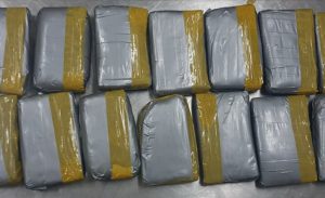 83 މިލިޔަން ރުފިޔާގެ މަސްތުވާތަކެތި އެތެރެކުރި މީހާގެ ބަންދަށް 15 ދުވަސް