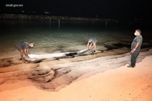 ރަސްފަންނު މޫދުން ކަޅުތެޔޮތަށް ސާފުކޮށްފި، ނަމަވެސް އަދި ހުޅުވާލެވޭނެ ދުވަހެއް ނޭނގެ