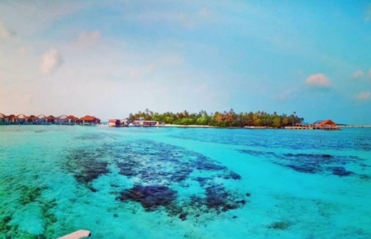 ތ އަތޮޅު ކަޅުދިޔަފުށި ވިއްކާލުމަށް އިއުލާން ކޮށްފި