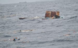 ސަފާރީ އަޑިއަށްގޮސް، ބައެއް ބައިތައް އޮޔާދާތީ ސަމާލުވާން އެދިއްޖެ