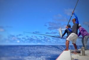 އިންކަމް ސަޕޯޓް އެލަވެންސްގެ ގޮތުގައި މަސްވެރިންނަށް 39.3 މިލިއަން ރުފިޔާ ދޫކޮށްފި