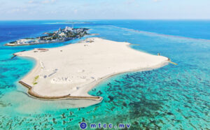 މާފުށީ ބިމުގެ ދަތިކަމަށް ހައްލެއް، ބިން ހިއްކައި ނިމިއްޖެ