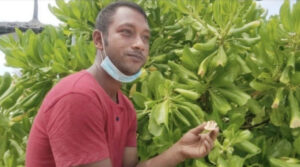 ޓުވަރ ގައިޑެއްކަމަށްބުނެ ފަތުރުވެރިއެއްގެ ދަބަހުން ފައިސާ ވަގަށްނެގި މީހަކު ހޯދަނީ